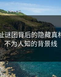 51网网址谜团背后的隐藏真相：揭开不为人知的背景线