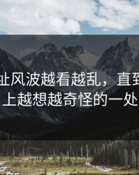 51网网址风波越看越乱，直到有人盯上越想越奇怪的一处
