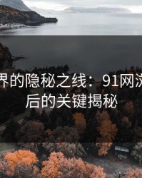 网络世界的隐秘之线：91网浏览器背后的关键揭秘