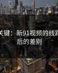 冷门但关键：新91视频的线路更新前后的差别
