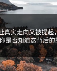 51网网址真实走向又被提起，后劲太大：你是否知道这背后的故事？