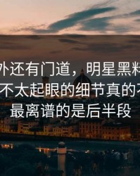 热闹之外还有门道，明星黑料那个爆点那个不太起眼的细节真的不简单，最离谱的是后半段