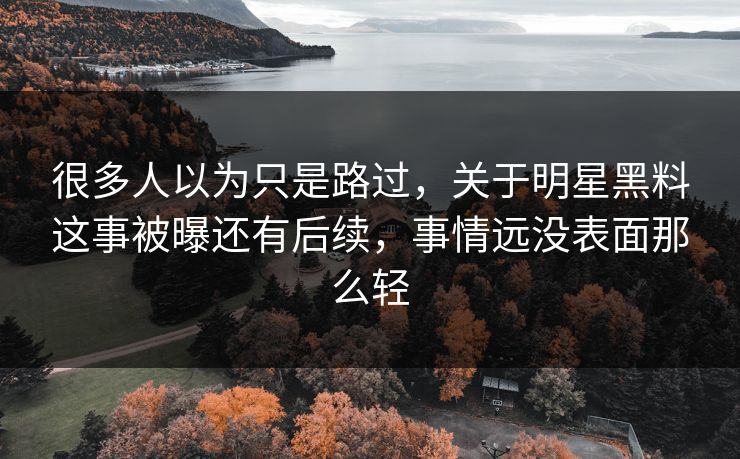 很多人以为只是路过，关于明星黑料这事被曝还有后续，事情远没表面那么轻