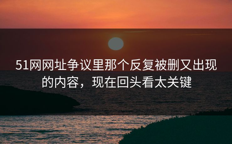 51网网址争议里那个反复被删又出现的内容，现在回头看太关键