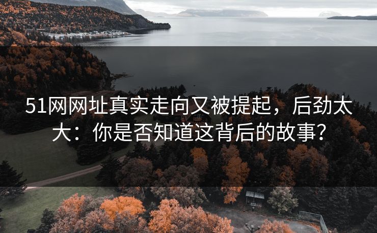 51网网址真实走向又被提起，后劲太大：你是否知道这背后的故事？