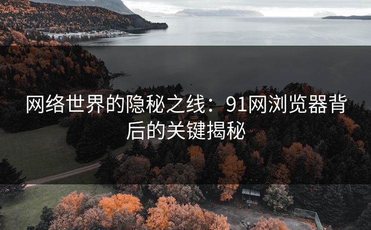 网络世界的隐秘之线：91网浏览器背后的关键揭秘
