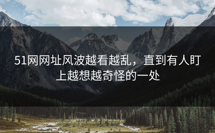 51网网址风波越看越乱，直到有人盯上越想越奇怪的一处
