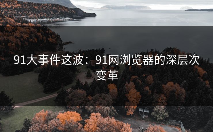 91大事件这波：91网浏览器的深层次变革