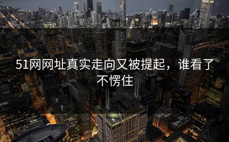 51网网址真实走向又被提起，谁看了不愣住