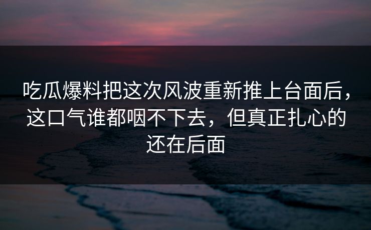 吃瓜爆料把这次风波重新推上台面后，这口气谁都咽不下去，但真正扎心的还在后面
