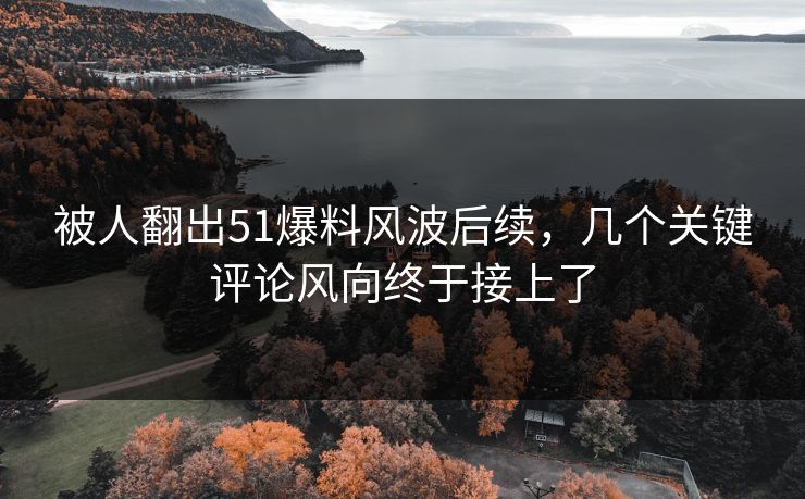 被人翻出51爆料风波后续，几个关键评论风向终于接上了
