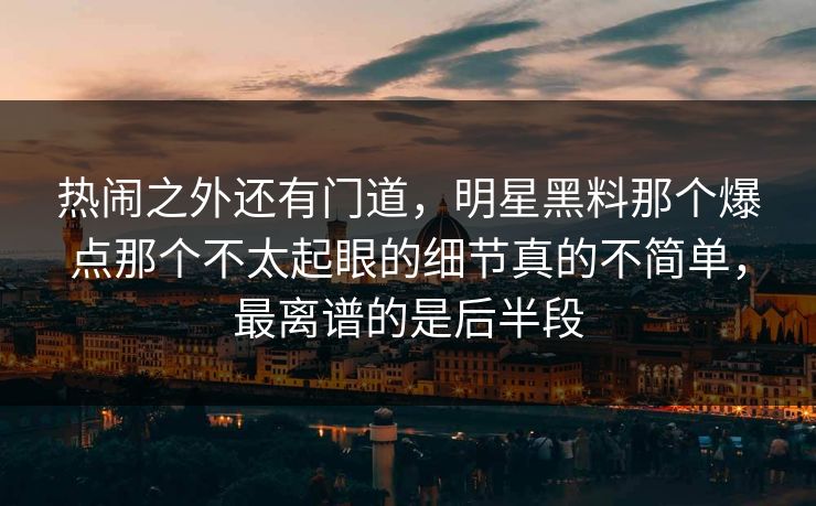 热闹之外还有门道，明星黑料那个爆点那个不太起眼的细节真的不简单，最离谱的是后半段