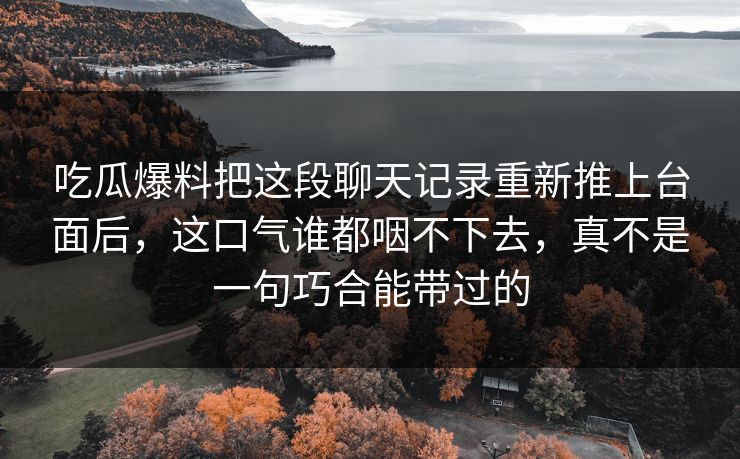 吃瓜爆料把这段聊天记录重新推上台面后，这口气谁都咽不下去，真不是一句巧合能带过的