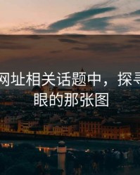 在51网网址相关话题中，探寻最不显眼的那张图