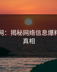 51爆料网：揭秘网络信息爆料的核心真相