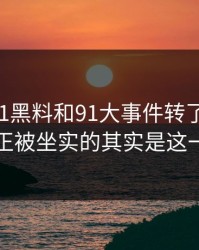围着新91黑料和91大事件转了这么久，真正被坐实的其实是这一步