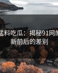 91爆料猛料吃瓜：揭秘91网的线路更新前后的差别
