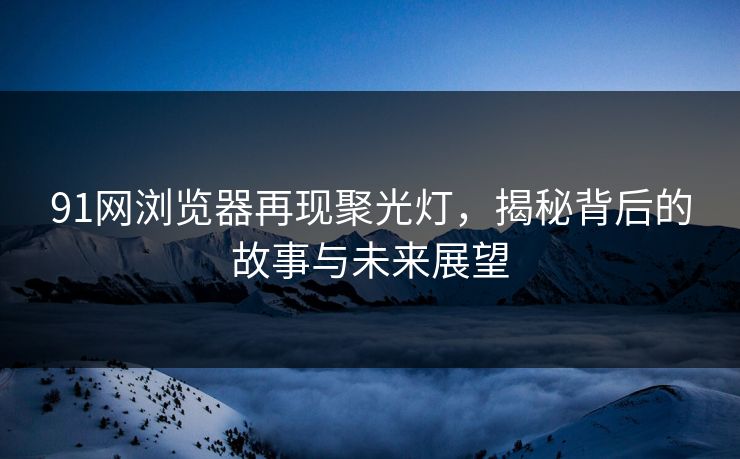 91网浏览器再现聚光灯，揭秘背后的故事与未来展望
