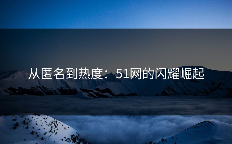从匿名到热度：51网的闪耀崛起