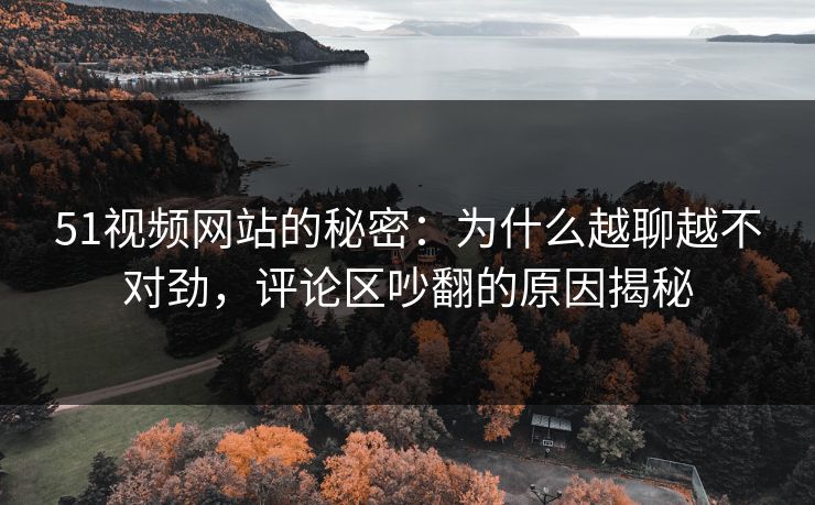 51视频网站的秘密：为什么越聊越不对劲，评论区吵翻的原因揭秘